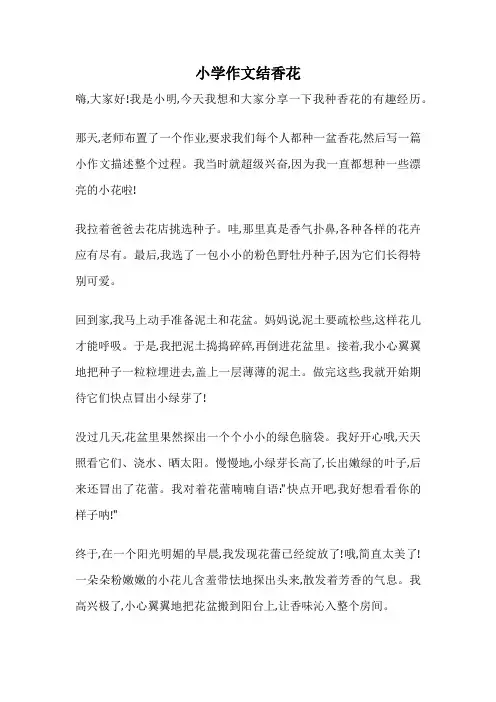 小学作文结香花