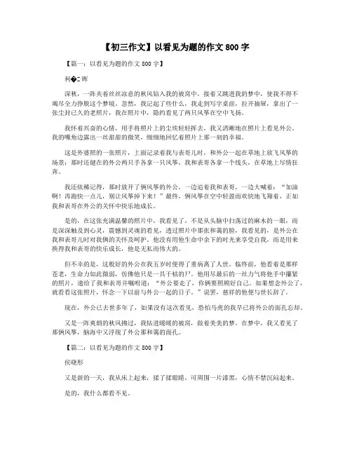【初三作文】以看见为题的作文800字
