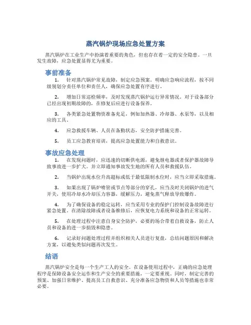 蒸汽锅炉现场应急处置方案