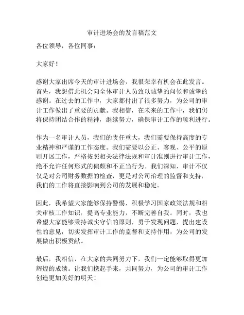 审计进场会的发言稿范文