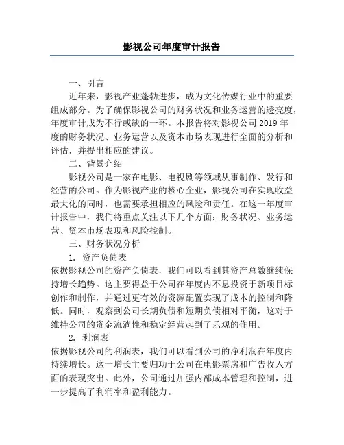 影视公司年度审计报告
