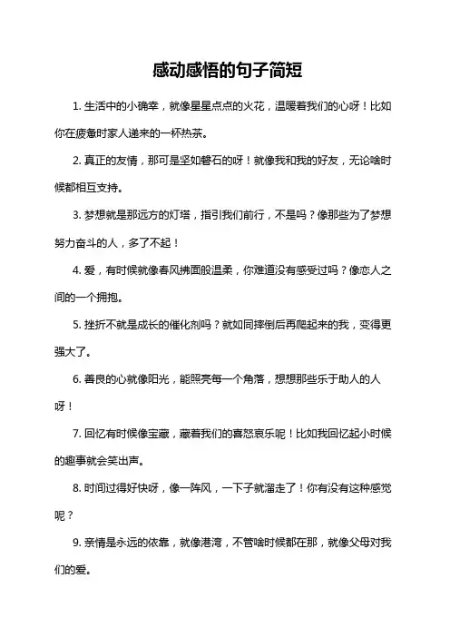 感动感悟的句子简短