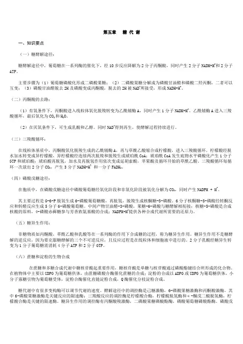 生物化学 王镜岩 第五章 糖代谢
