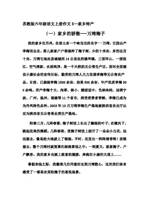 苏教版六年级语文上册作文
