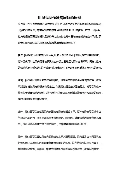 用贝壳制作雄鹰展翅的原理