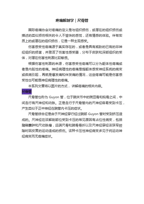 疼痛解剖学｜尺骨管