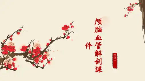颅脑血管解剖课件