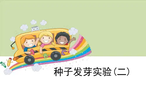《种子发芽实验(二)》生物与环境PPT-模板
