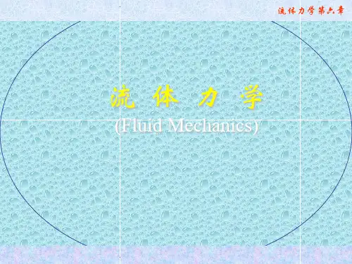 流体力学第六章 边界层理论 