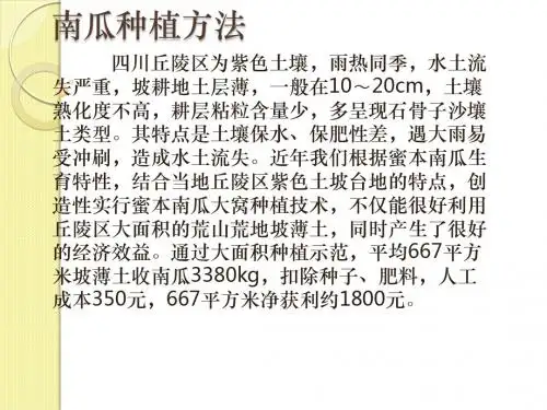 南瓜种植方法