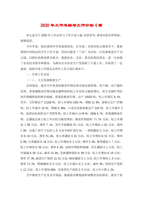 2020年工作总结与工作计划4篇