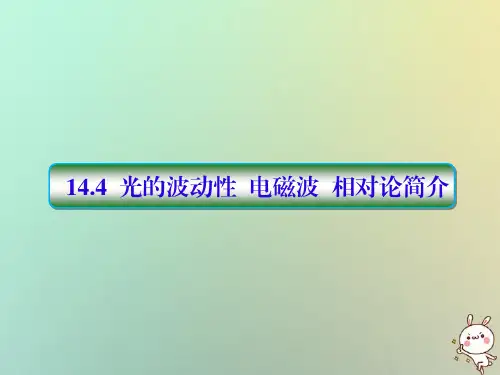 2019届高考物理一轮复习第十四单元选考部分14_4光的波动性电磁波相对论简介配套课件新人教版选修3_4