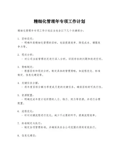 精细化管理年专项工作计划