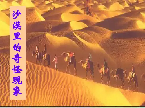 《沙漠里的奇怪现象》PPT课件