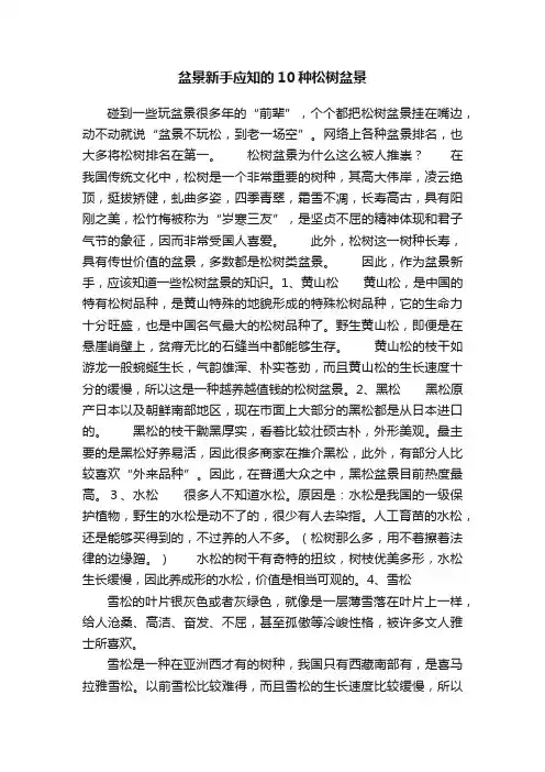 盆景新手应知的10种松树盆景