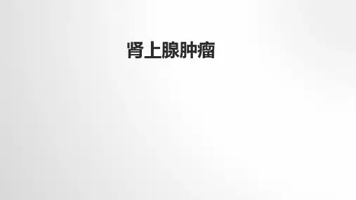 肾上腺肿瘤-精品医学课件