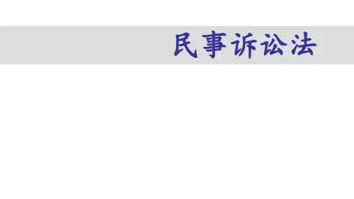 第2章第2节  民事诉讼法的法律渊源