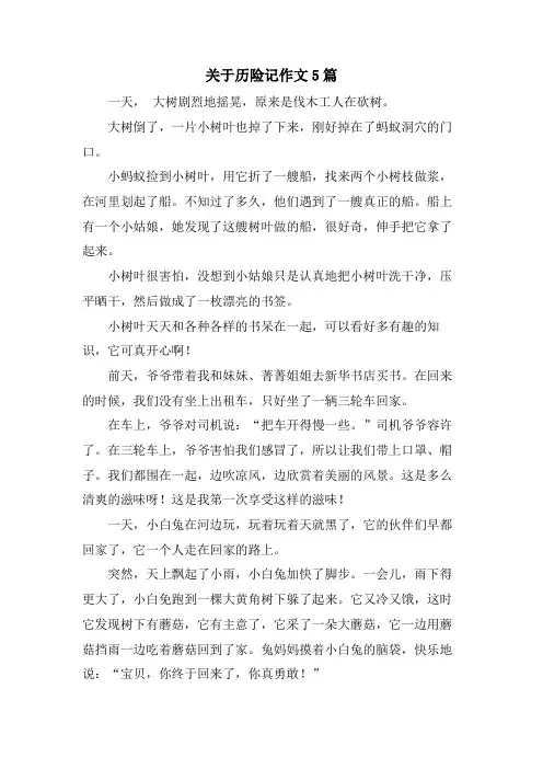 关于历险记作文5篇