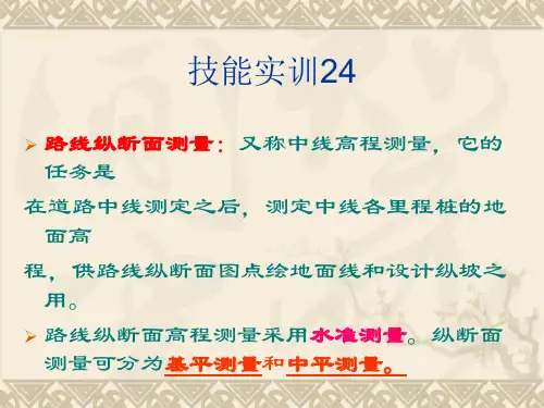路线纵断面测量