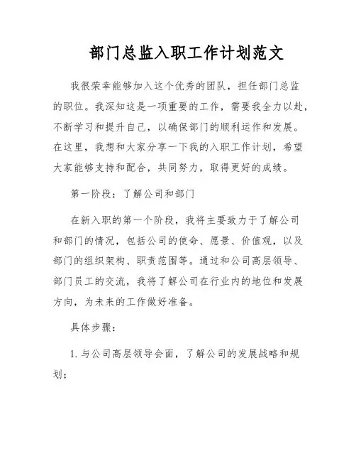 部门总监入职工作计划范文