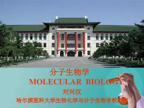分子生物学 常用分子生物学技术的原理及应用