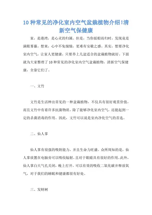 10种常见的净化室内空气盆栽植物介绍!清新空气保健康