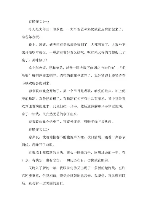 2020春晚观后感优秀范文大全5篇