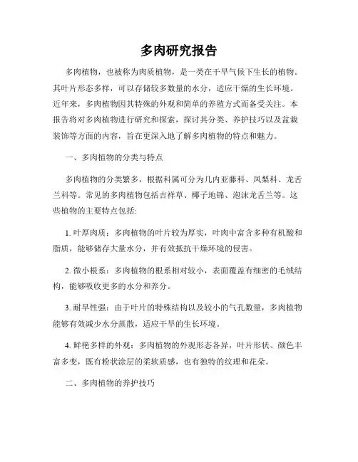 多肉研究报告