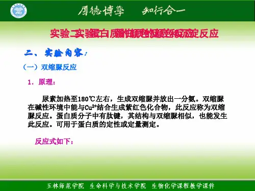 蛋白质的颜色反应