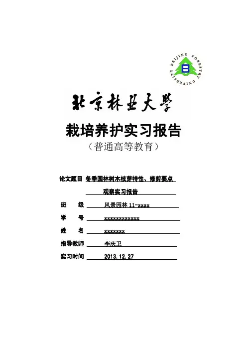 栽培养护实习报告——冬季树木枝芽观察、园林树木剪枝特性观察实习