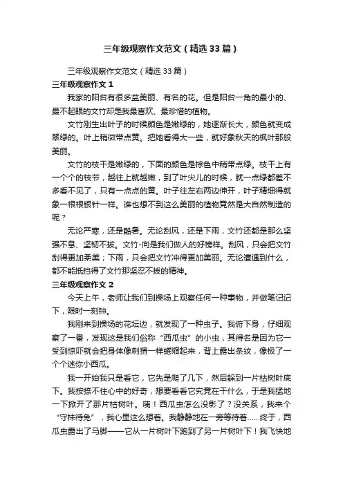 三年级观察作文范文（精选33篇）