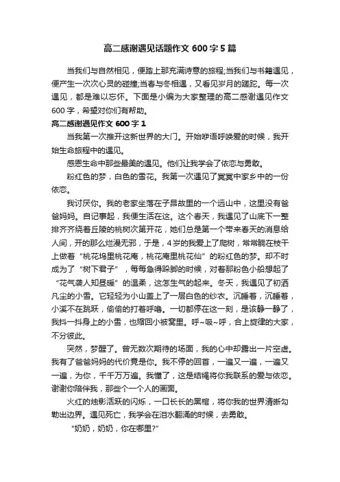 高二感谢遇见话题作文600字5篇