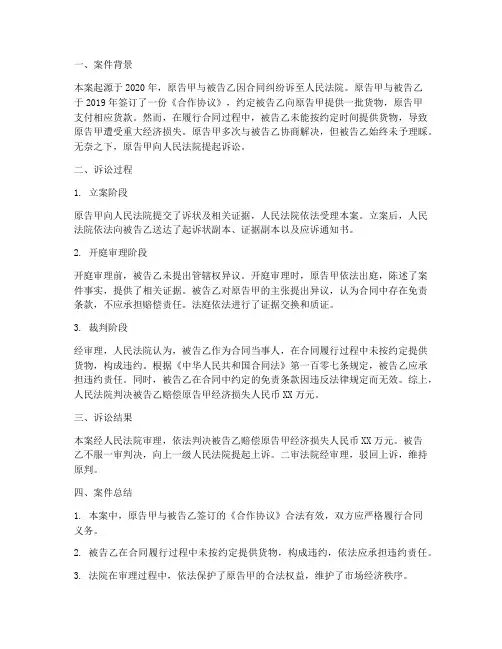我的诉讼总结范文