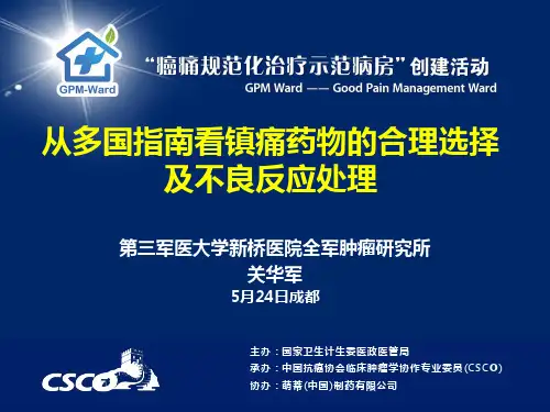 5月24日成都-镇痛药物的合理选择及不良反应处理-关华军-5月22日修改版