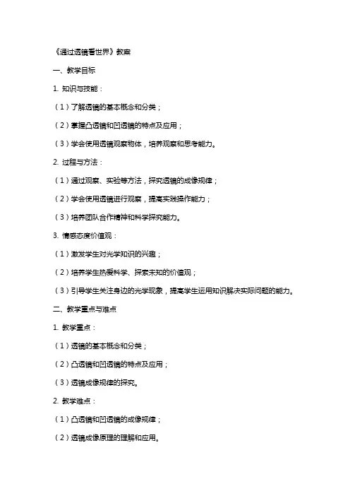 《通过透镜看世界》教案