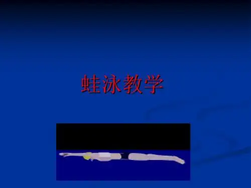 蛙泳教学