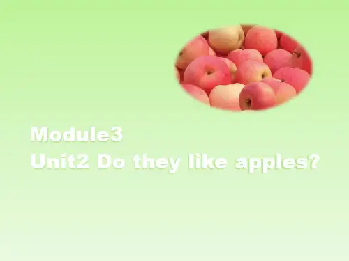 外研版(一起点)二年级英语上册Unit2_教学课件