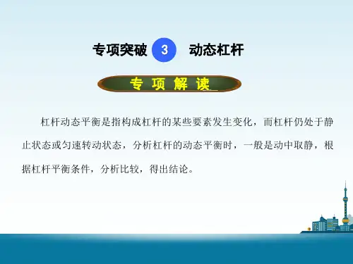专题三动态杠杆