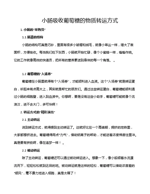 小肠吸收葡萄糖的物质转运方式