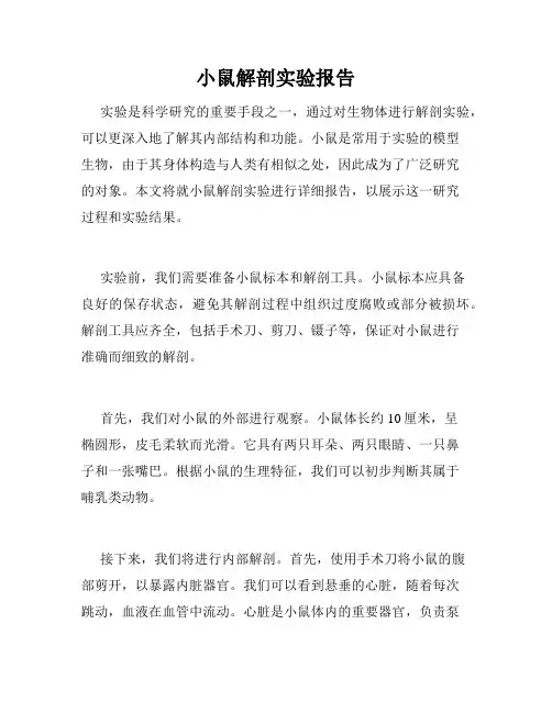 小鼠解剖实验报告