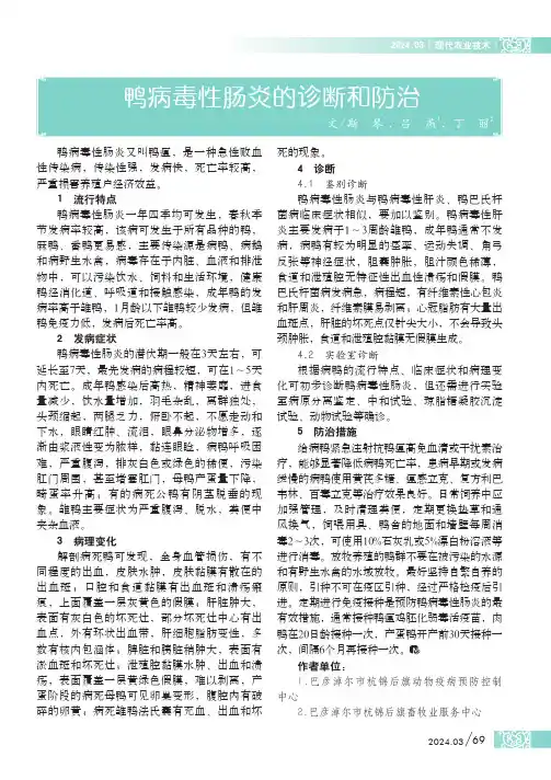 鸭病毒性肠炎的诊断和防治