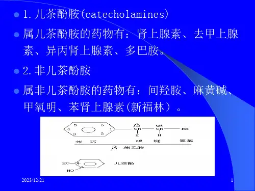 第8章肾上腺素受体激动药