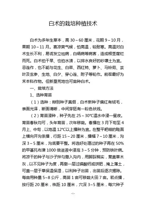 白术的栽培种植技术