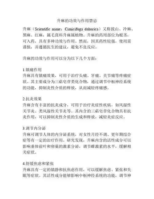 升麻的功效与作用禁忌