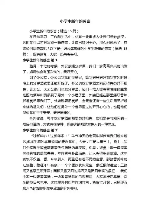 小学生新年的感言（精选15篇）