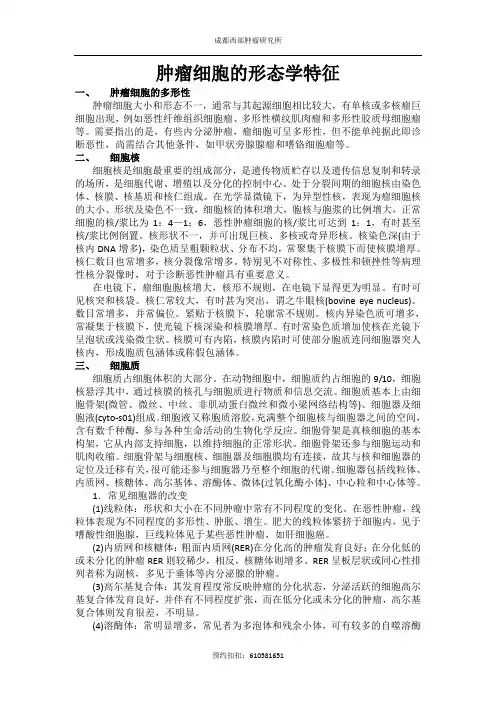 肿瘤细胞的形态学特征