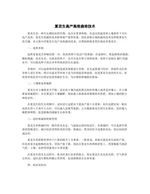 夏花生高产高效栽培技术