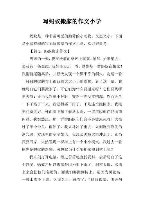 写蚂蚁搬家的作文小学