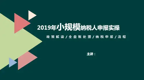 小规模纳税人申报填写