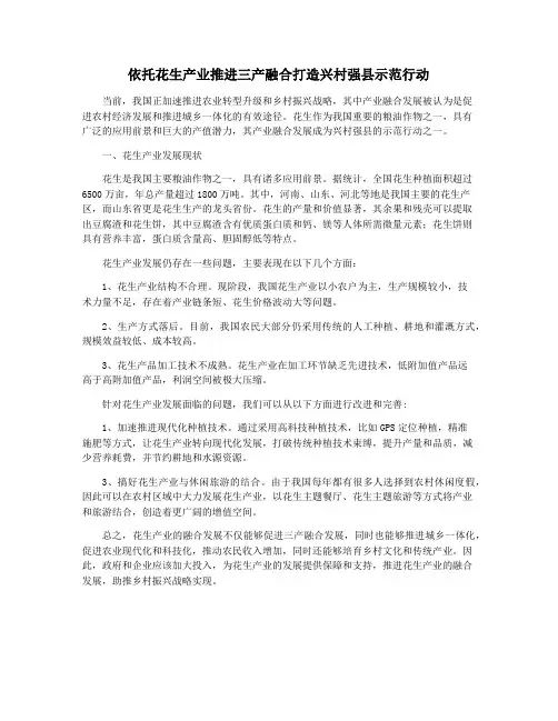 依托花生产业推进三产融合打造兴村强县示范行动